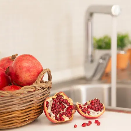 別荘 Residenza Octopus ヴィッラシミーウス